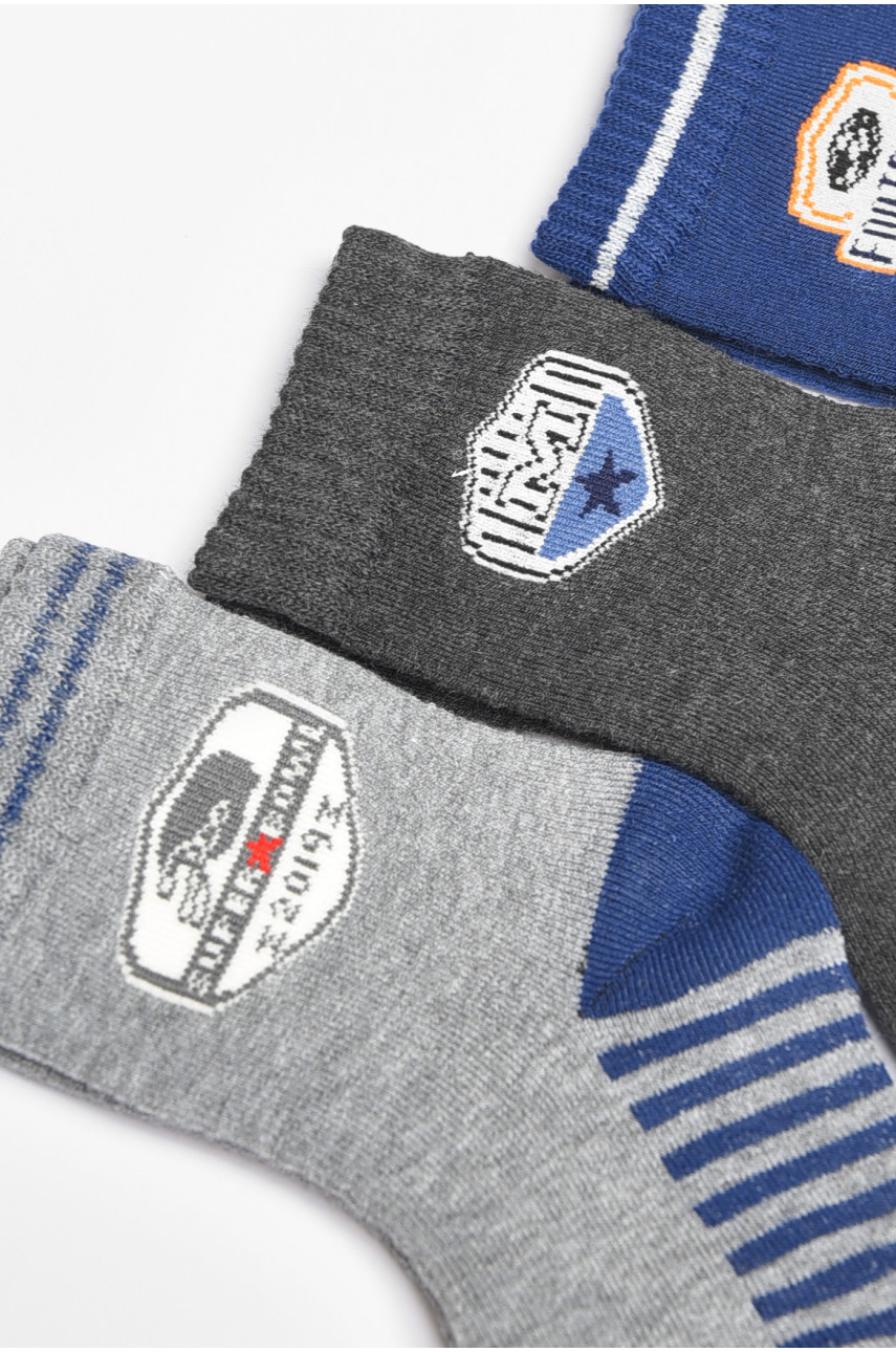 Набір дитячих шкарпеток для хлопчика 3 штуки 3051 189492