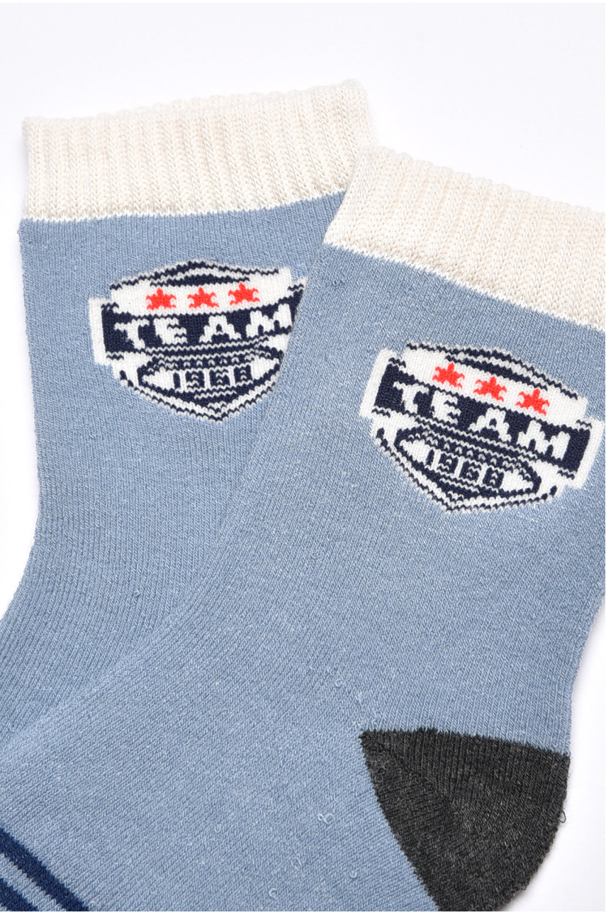 Шкарпетки дитячі для хлопчика блакитного кольору 3051 189496