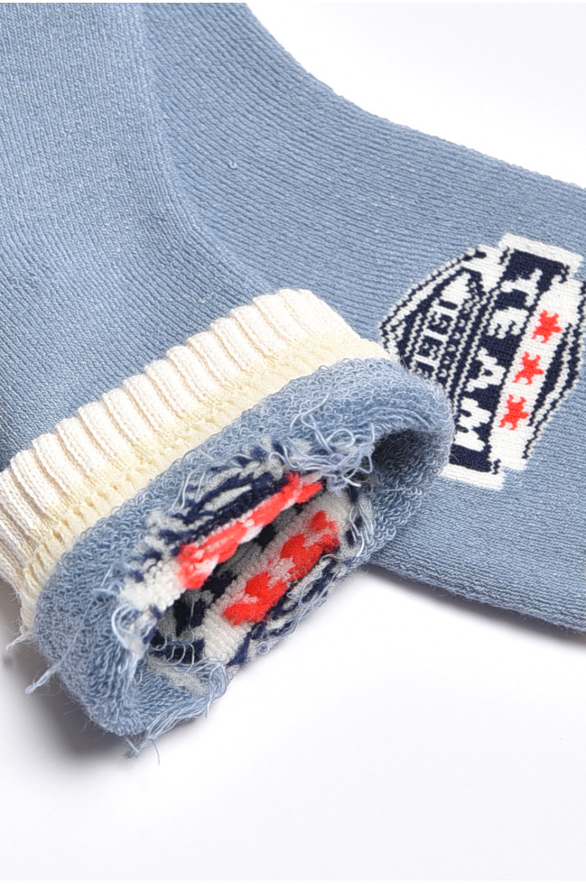 Шкарпетки дитячі для хлопчика блакитного кольору 3051 189496