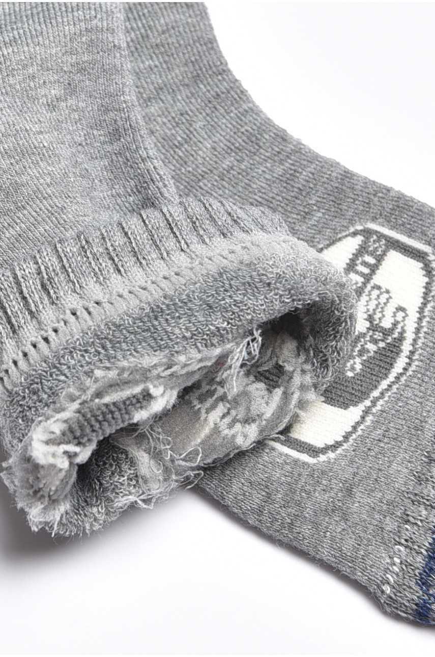 Шкарпетки дитячі для хлопчика сірого кольору 3051 189498