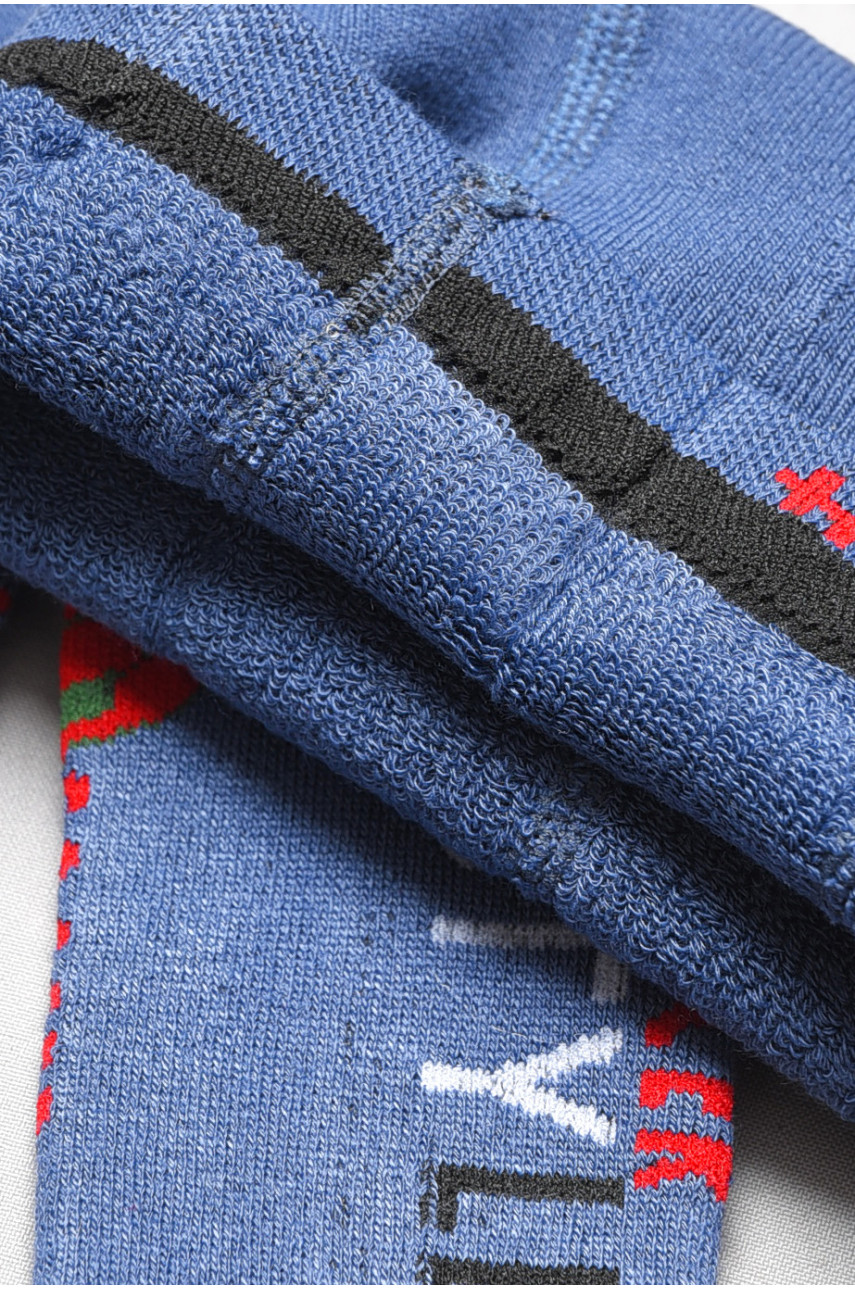 Колготи дитячі махрові для хлопчика синього кольору D82 189601 Колготи дитячі махрові для хлопчика синього кольору D82 189601