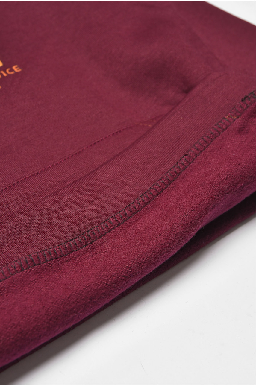 Худи детское темно-бордового цвета с капюшоном 211 189627 Худи детское темно-бордового цвета с капюшоном 211 189627