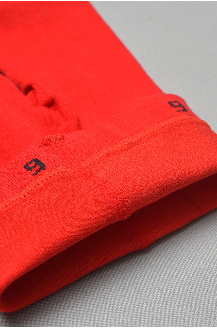 Колготи дитячі для дівчинки червоного кольору FCK05 189889