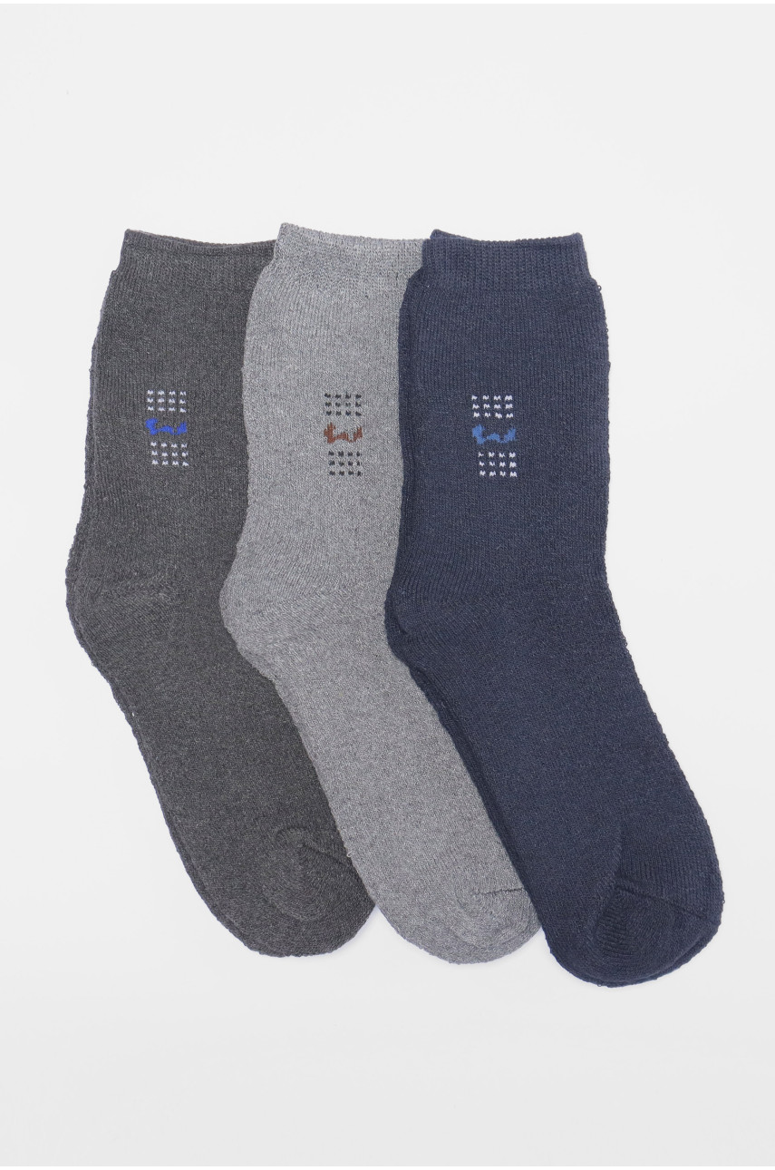 Набір шкарпеток чоловічих махрових 3 штуки 226 189990