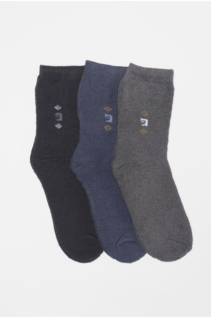 Набір шкарпеток чоловічих махрових 3 штуки 224 190049