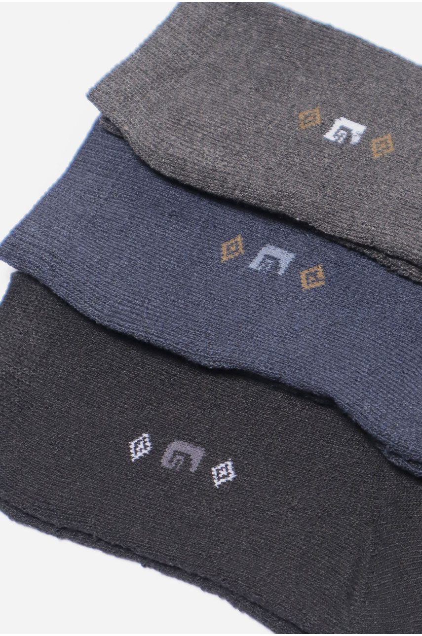 Набір шкарпеток чоловічих махрових 3 штуки 224 190049