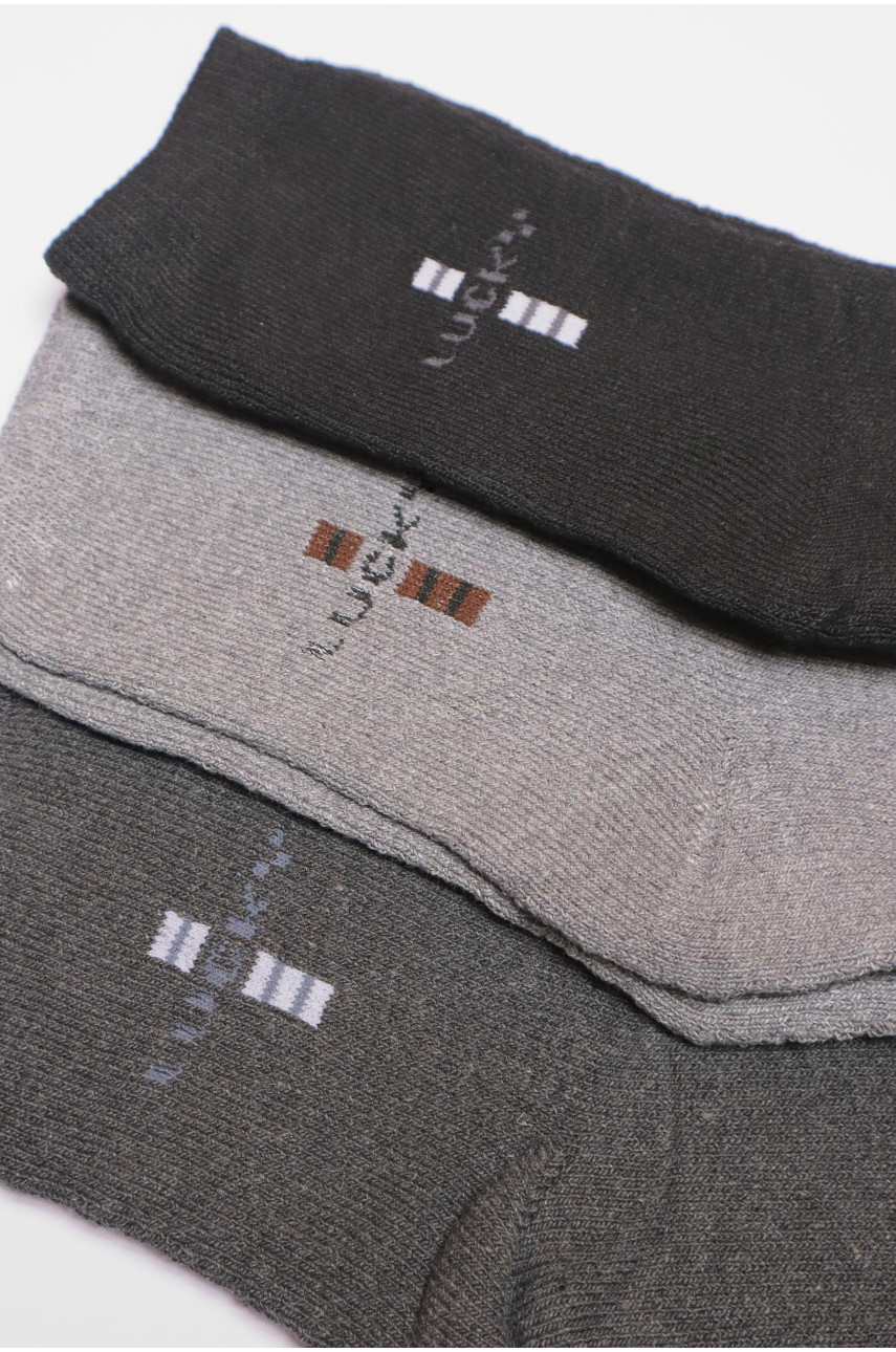 Набор носков мужских махровых 3 штуки 887 190055