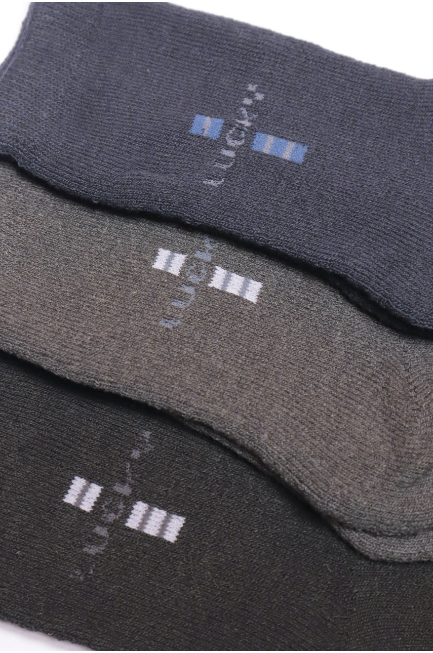 Набір шкарпеток чоловічих махрових 3 штуки 887 190057
