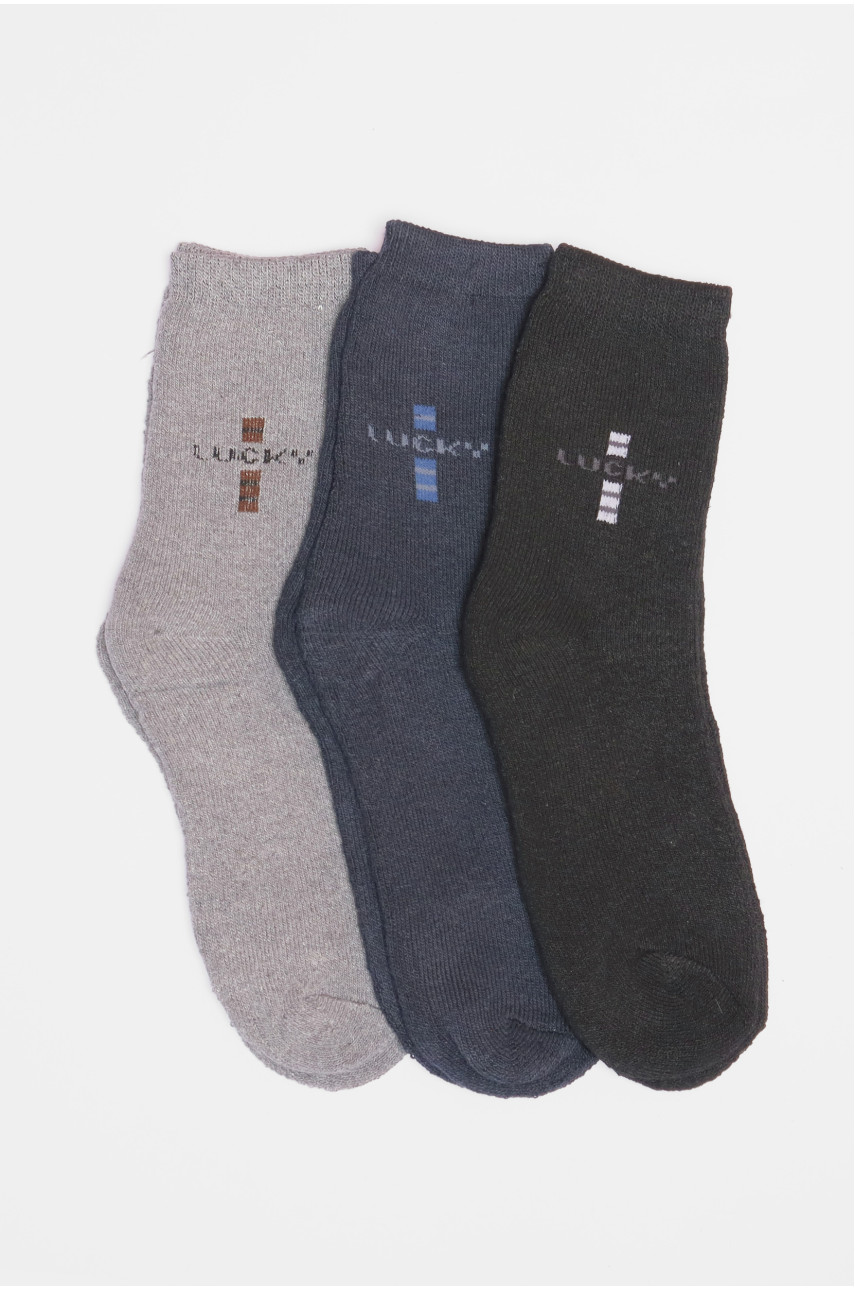 Набір шкарпеток чоловічих махрових 3 штуки 887 190058