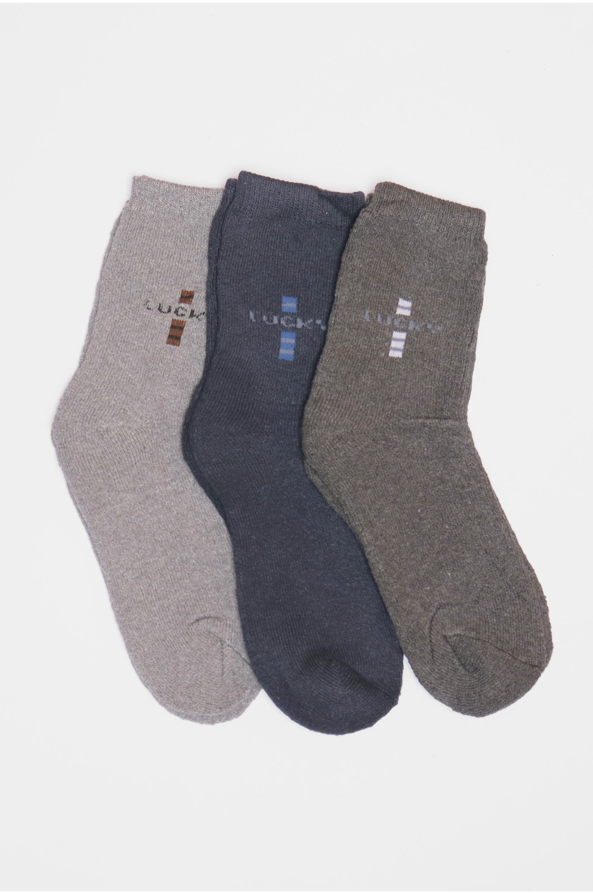 Набір шкарпеток чоловічих махрових 3 штуки 887 190059