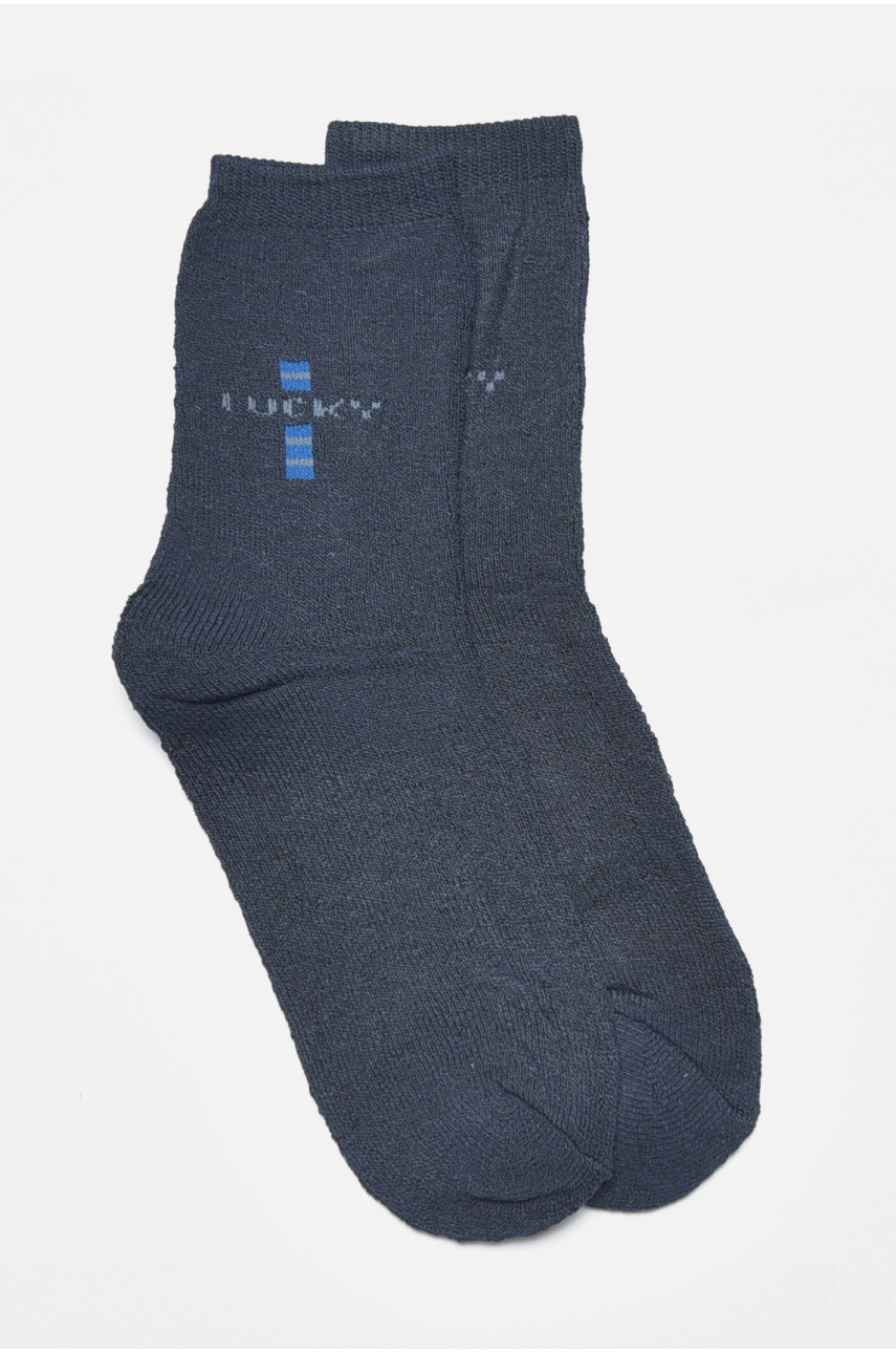 Шкарпетки чоловічі махрові темно-синього кольору 887 190060