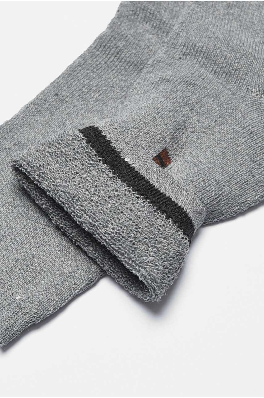 Шкарпетки чоловічі махрові сірого кольору 887 190063