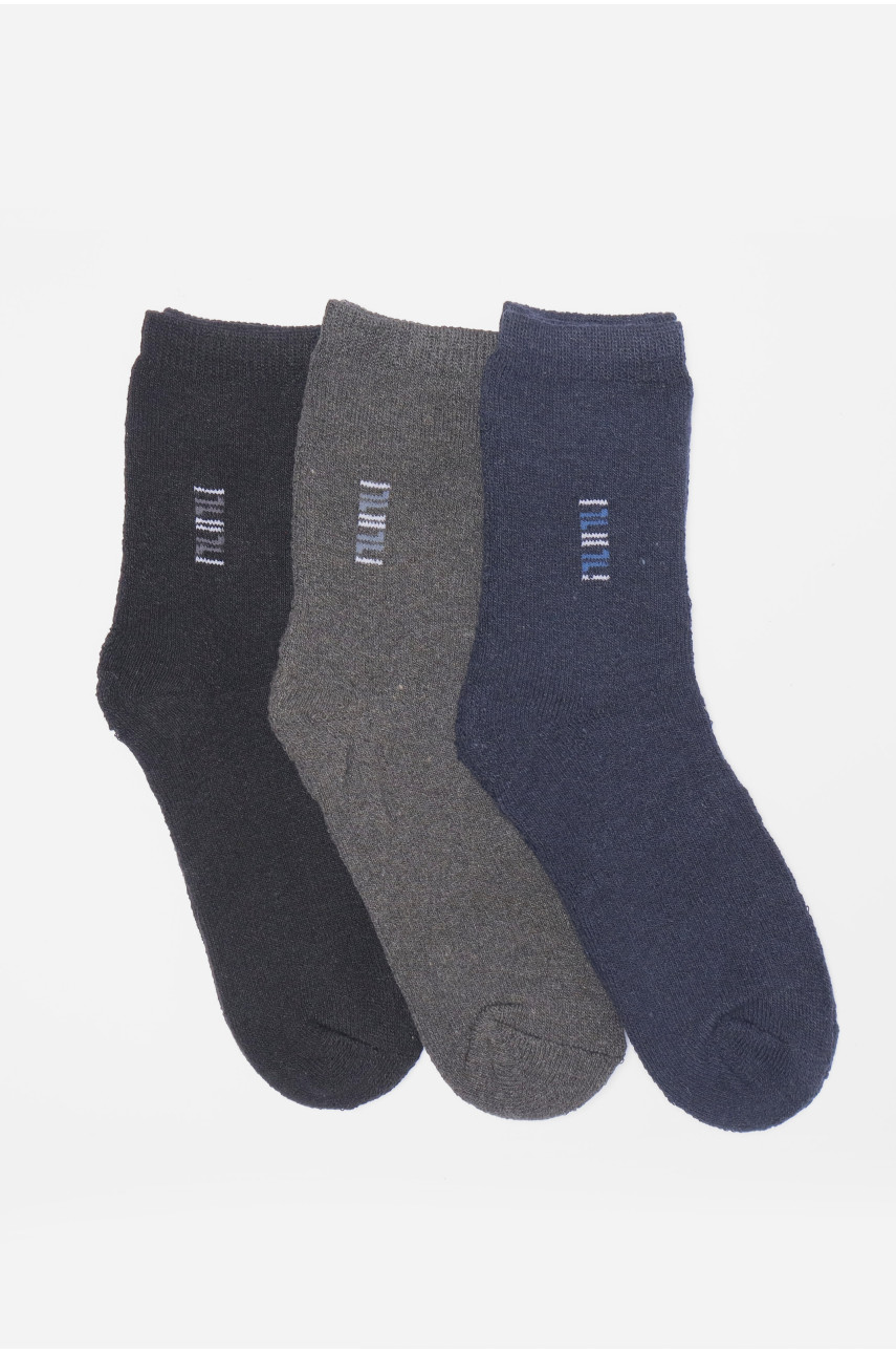 Набір шкарпеток чоловічих махрових 3 штуки 880 190066