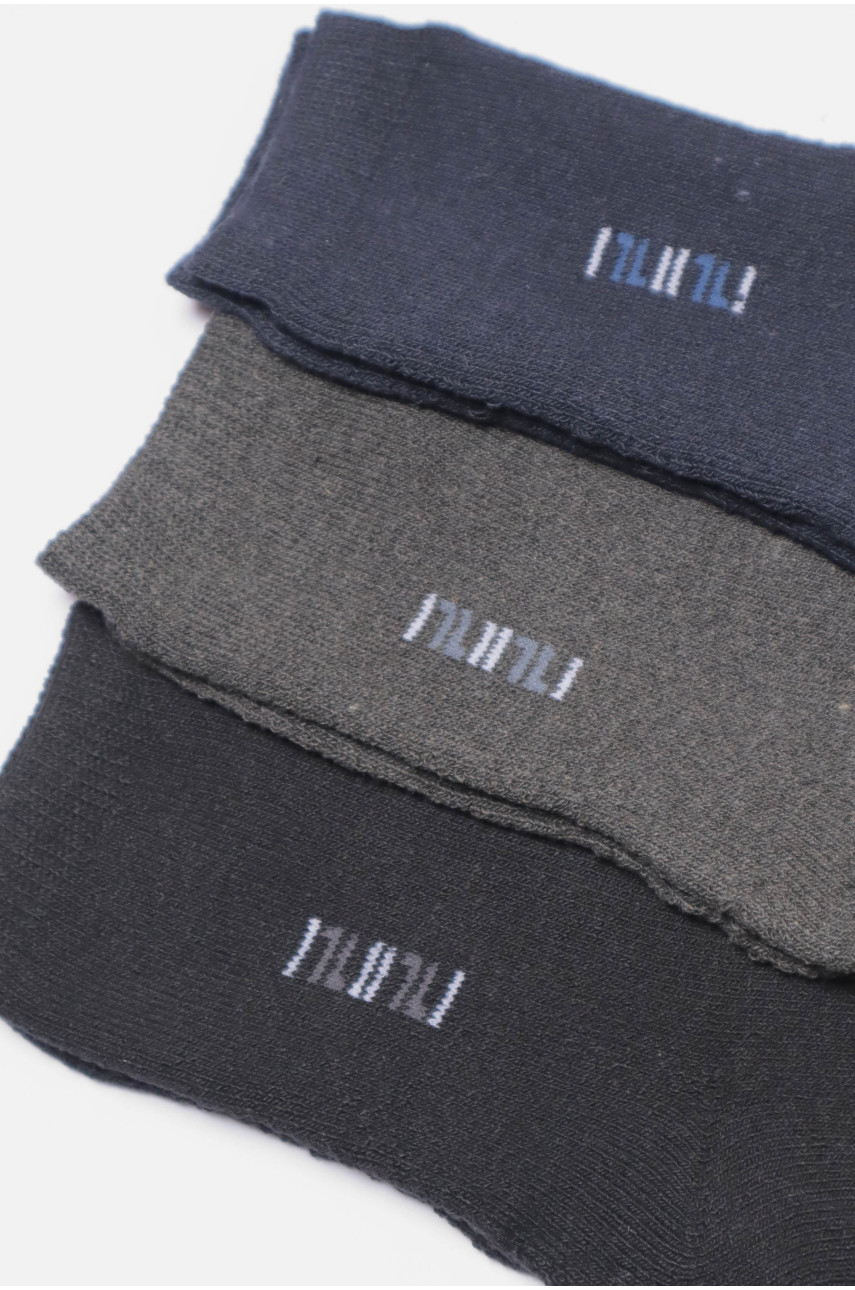Набір шкарпеток чоловічих махрових 3 штуки 880 190066