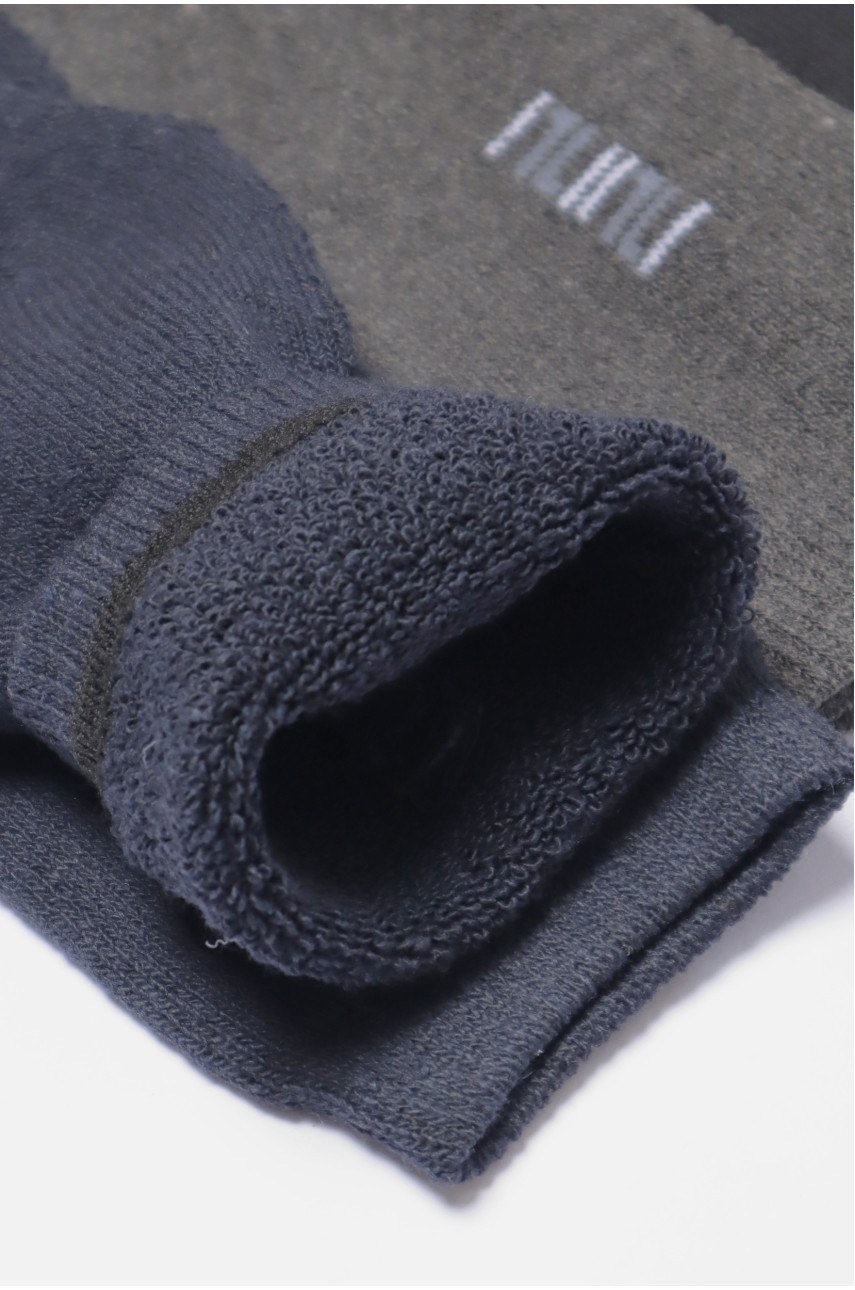 Набір шкарпеток чоловічих махрових 3 штуки 880 190066