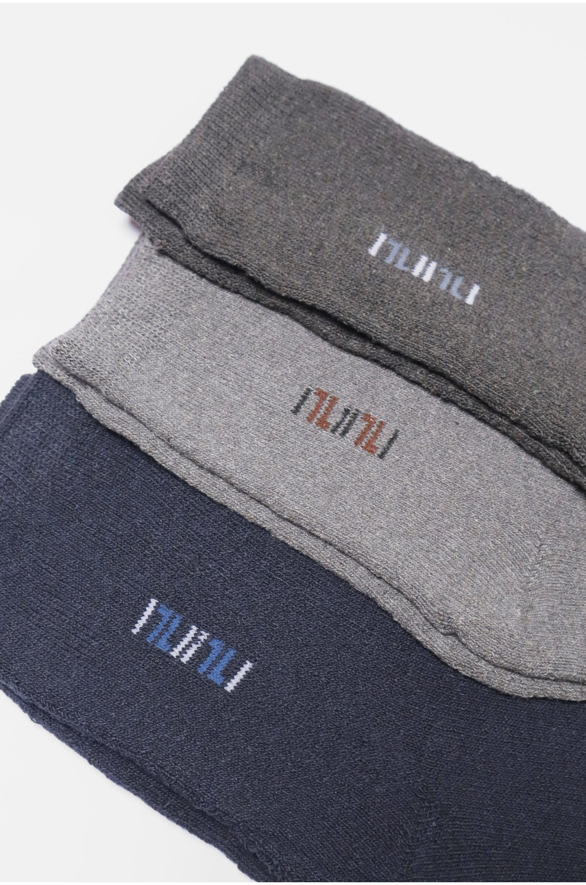 Набір шкарпеток чоловічих махрових 3 штуки 880 190067