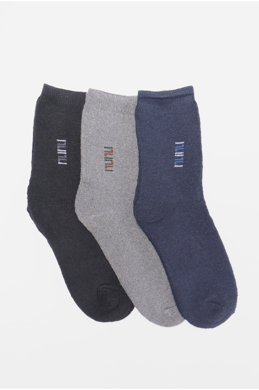 Набір шкарпеток чоловічих махрових 3 штуки 880 190068