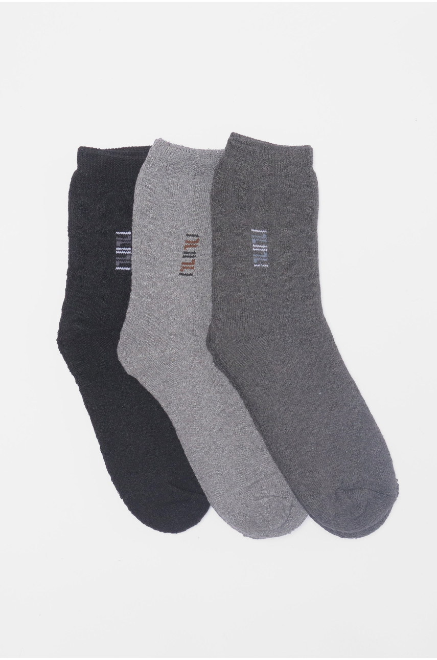 Набір шкарпеток чоловічих махрових 3 штуки 880 190069