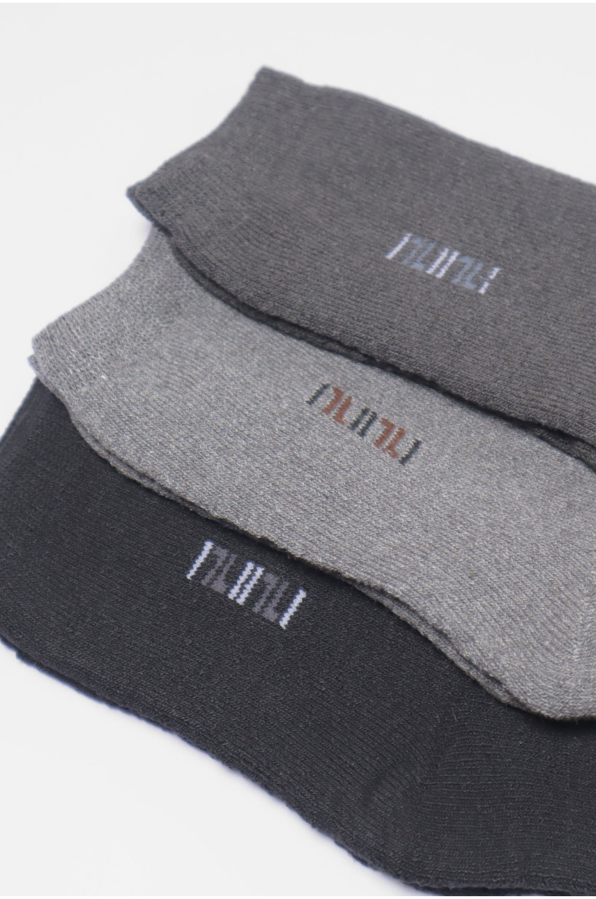 Набір шкарпеток чоловічих махрових 3 штуки 880 190069