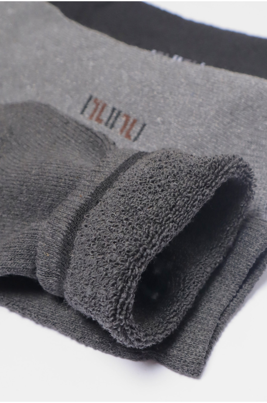 Набір шкарпеток чоловічих махрових 3 штуки 880 190069