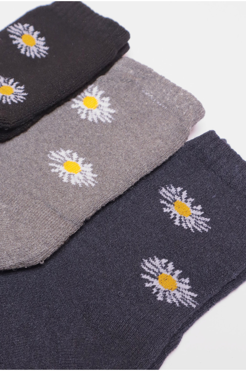 Набір шкарпеток жіночих махрових 3 штуки 770 190149