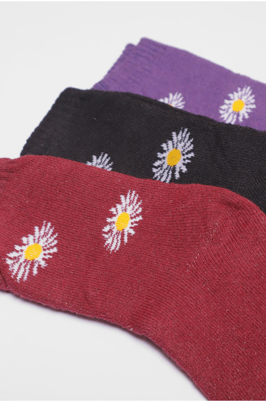 Набір шкарпеток жіночих махрових 3 штуки 770 190151