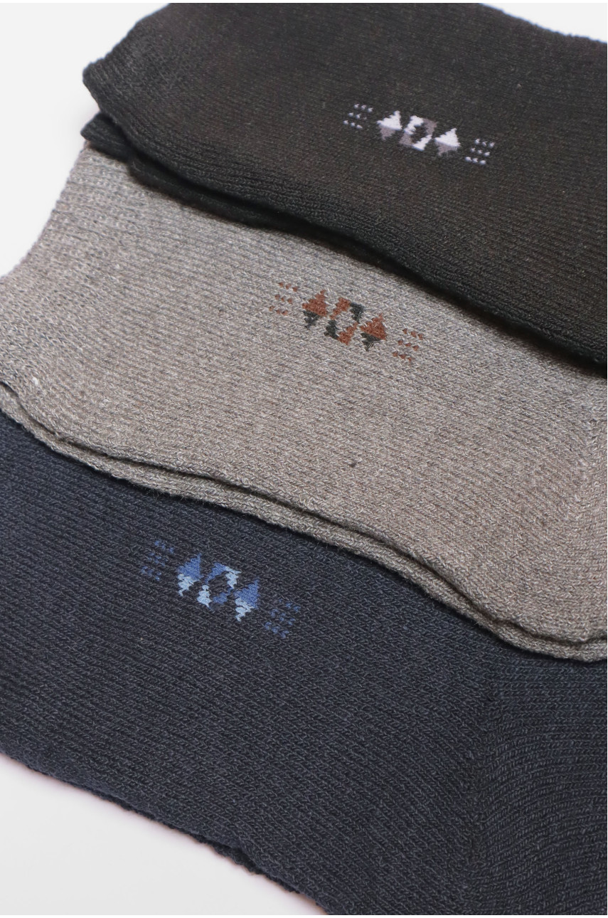 Набір шкарпеток чоловічих махрових 3 штуки 225 190172