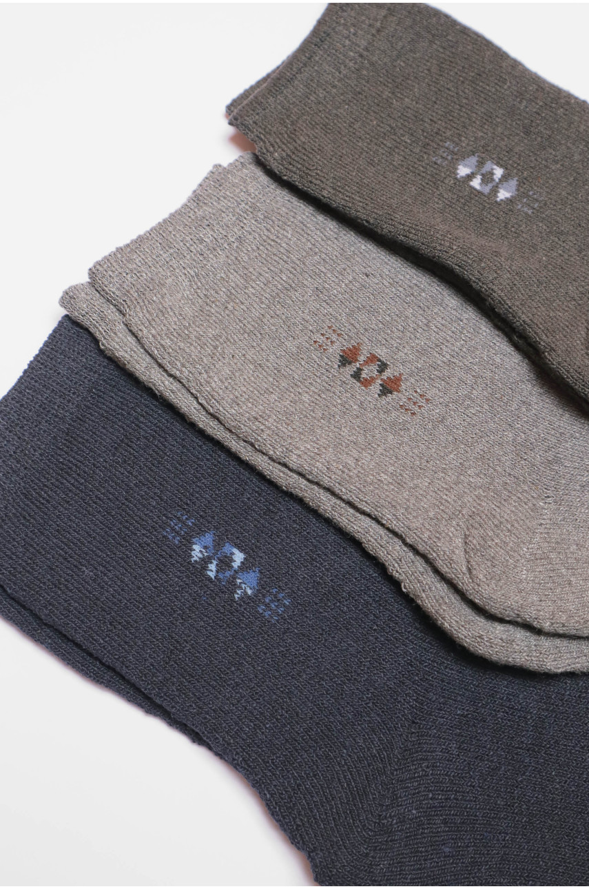 Набір шкарпеток чоловічих махрових 3 штуки 225 190173