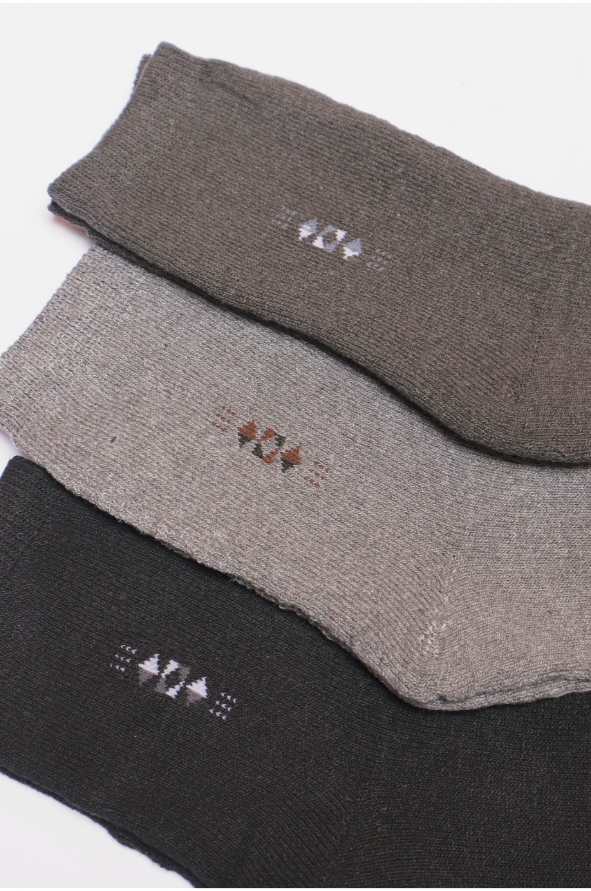 Набір шкарпеток чоловічих махрових 3 штуки 225 190174