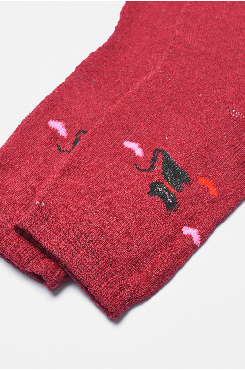 Шкарпетки жіночі махрові бордового кольору 777 190202