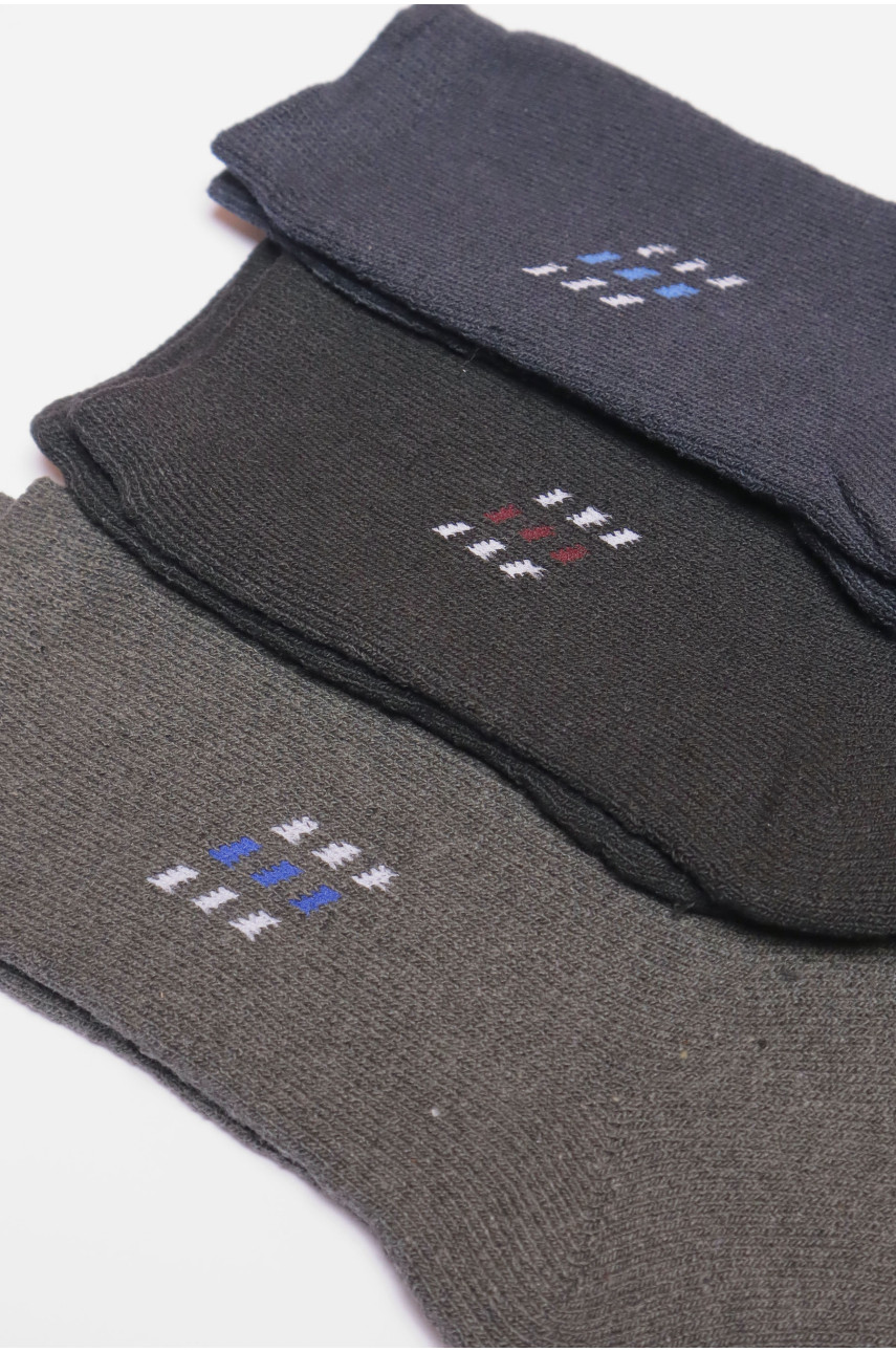 Набір шкарпеток чоловічих махрових 3 штуки 106 190209