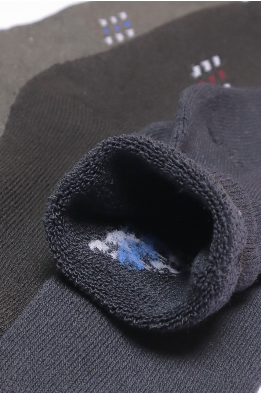 Набір шкарпеток чоловічих махрових 3 штуки 106 190209