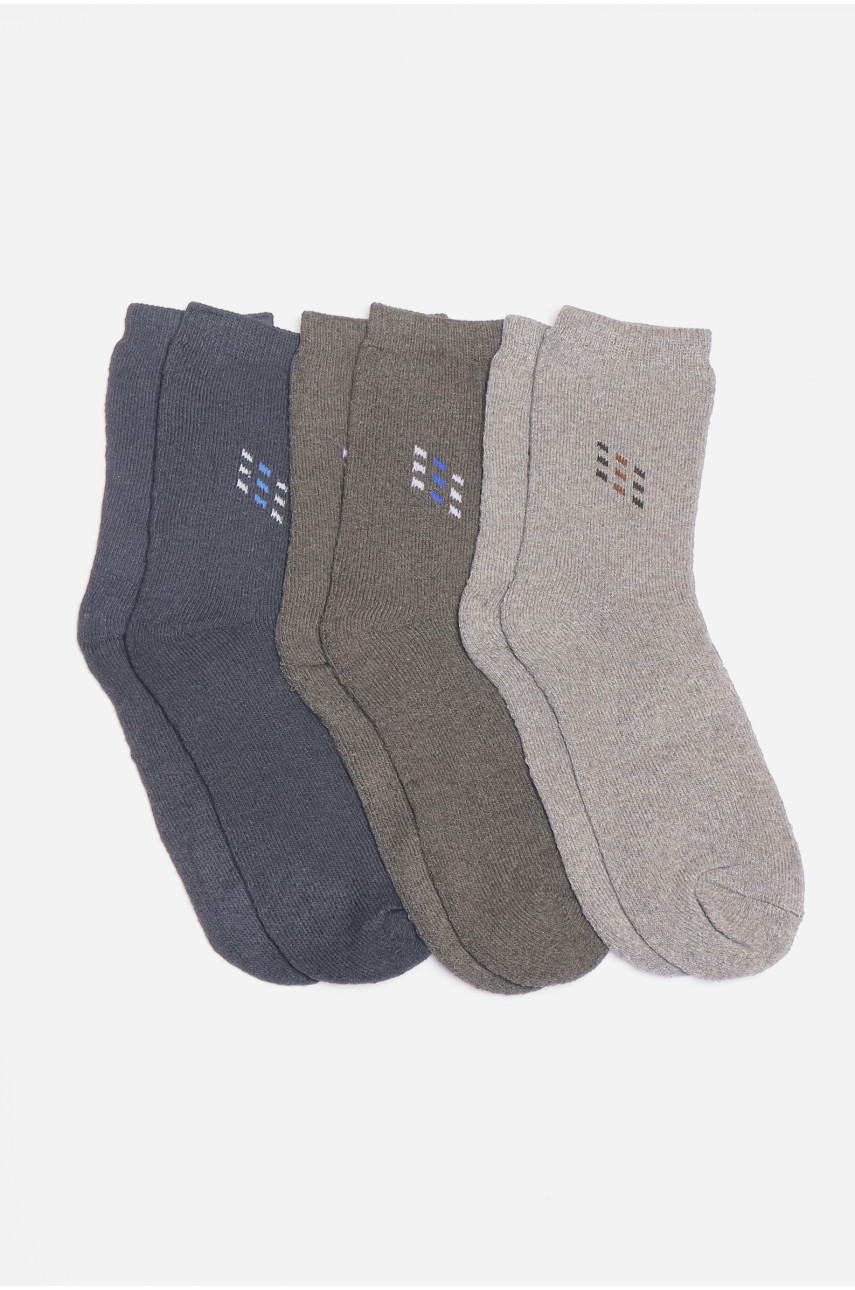 Набір шкарпеток чоловічих махрових 3 штуки 106 190210