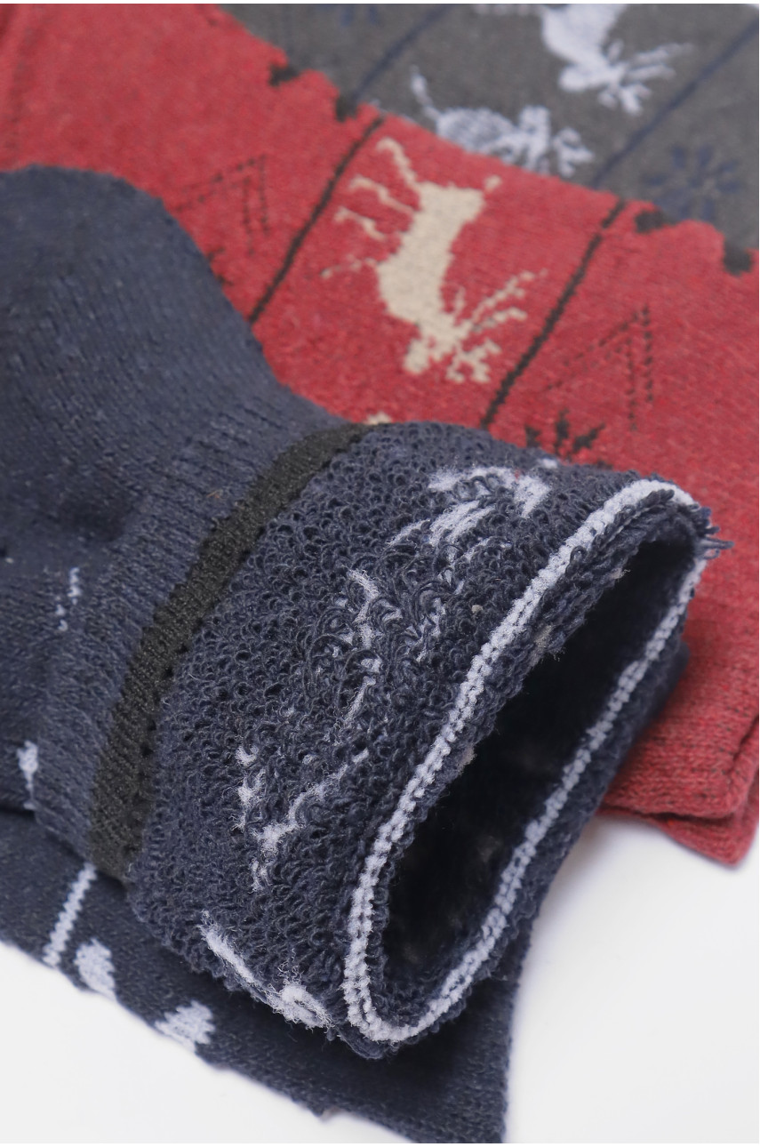 Набір шкарпеток жіночих махрових 3 штуки 881 190302