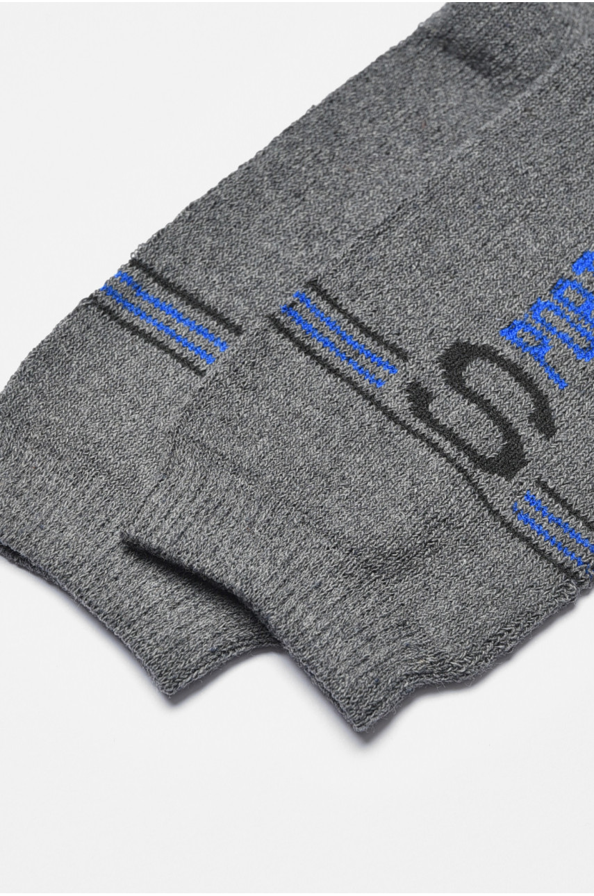 Шкарпетки чоловічі махрові сірого кольору 774 190323 Шкарпетки чоловічі махрові сірого кольору 774 190323