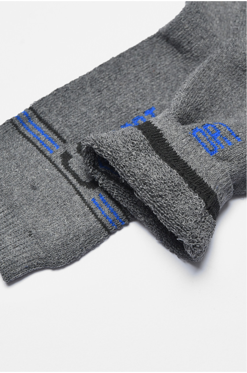 Шкарпетки чоловічі махрові сірого кольору 774 190323 Шкарпетки чоловічі махрові сірого кольору 774 190323