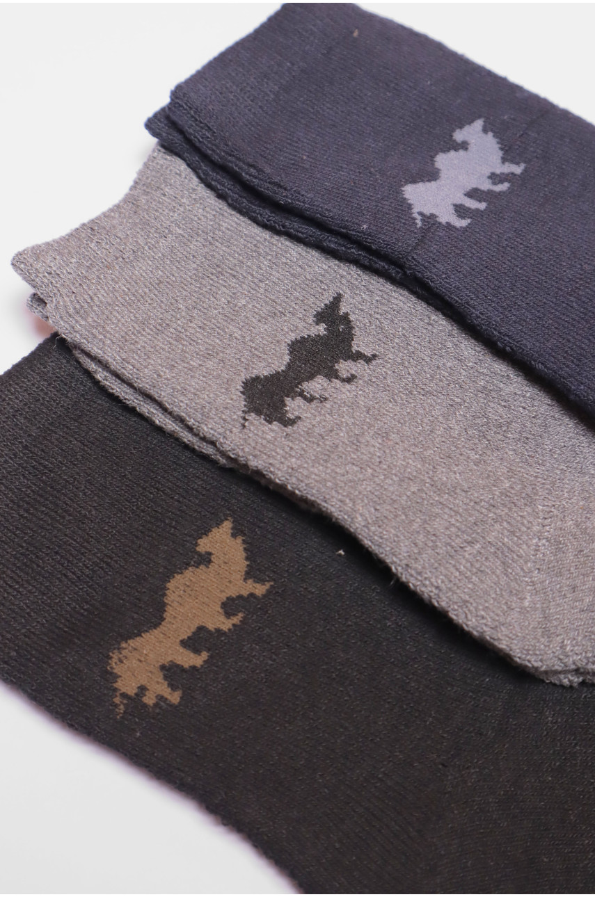 Набір шкарпеток чоловічих махрових 3 штуки 107 190324