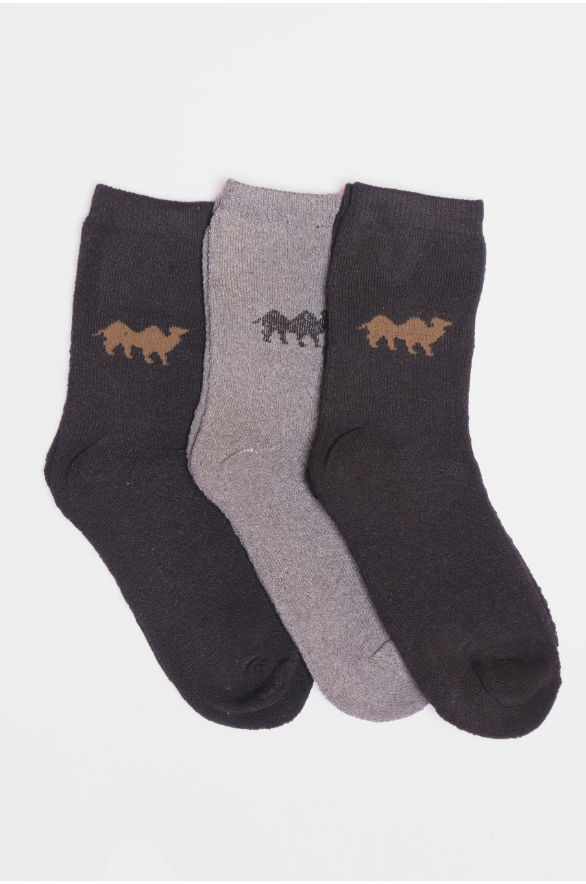 Набір шкарпеток чоловічих махрових 3 штуки 107 190325