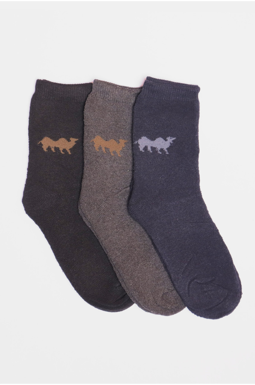 Набір шкарпеток чоловічих махрових 3 штуки 107 190326