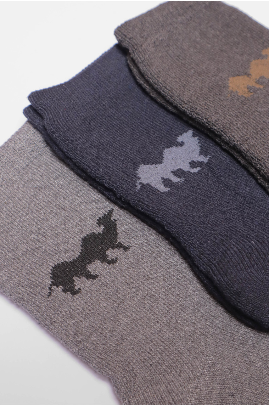 Набір шкарпеток чоловічих махрових 3 штуки 107 190327