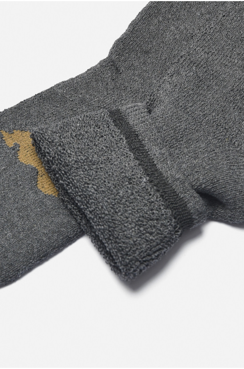 Шкарпетки чоловічі махрові темно-сірого кольору 107 190330