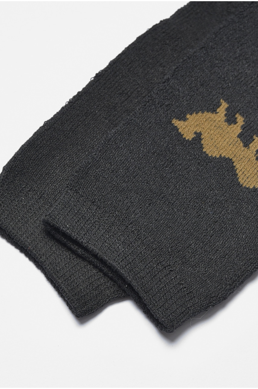 Шкарпетки чоловічі махрові чорного кольору 107 190331