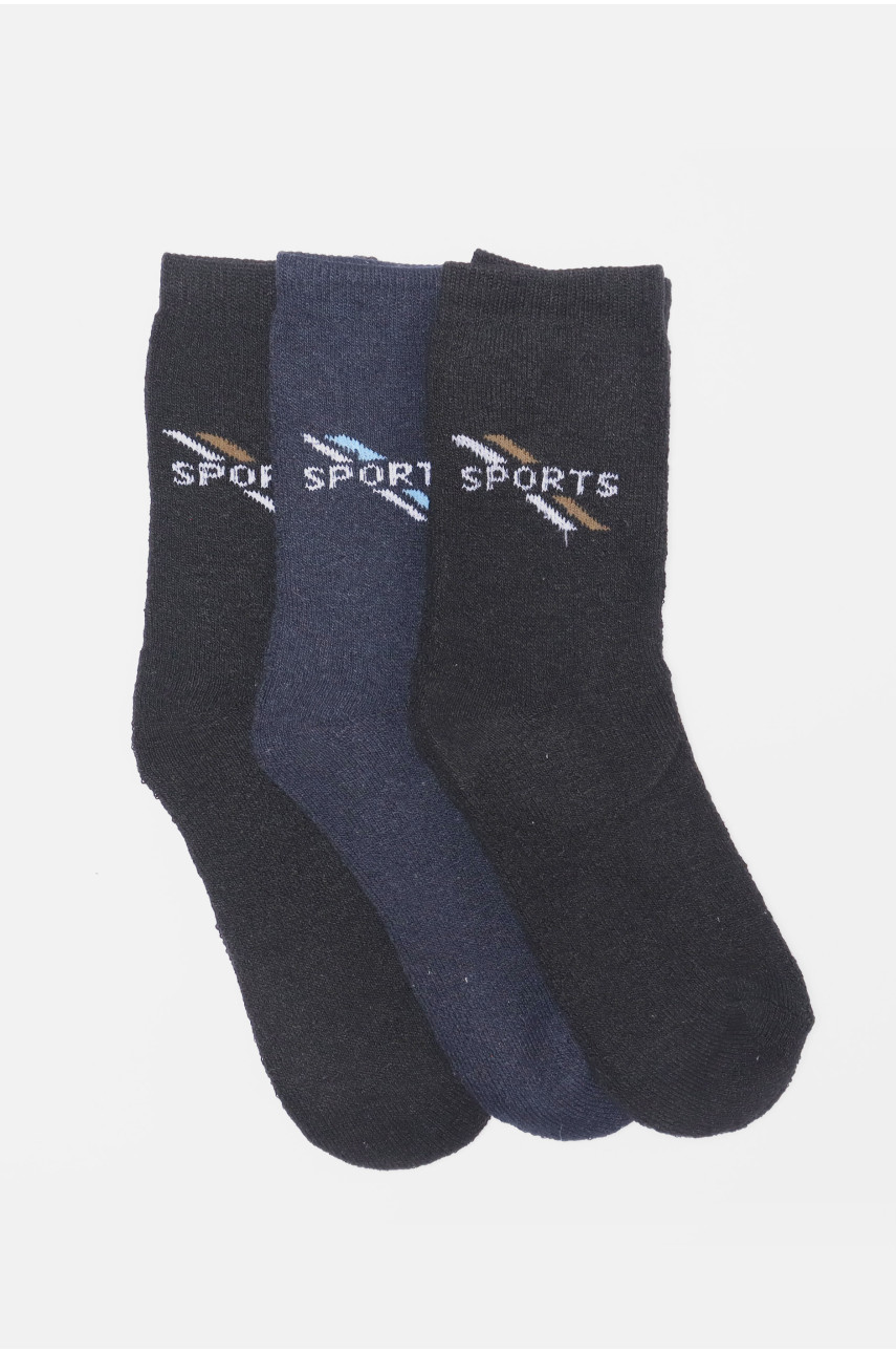 Набір шкарпеток чоловічих махрових 3 штуки 772 190332