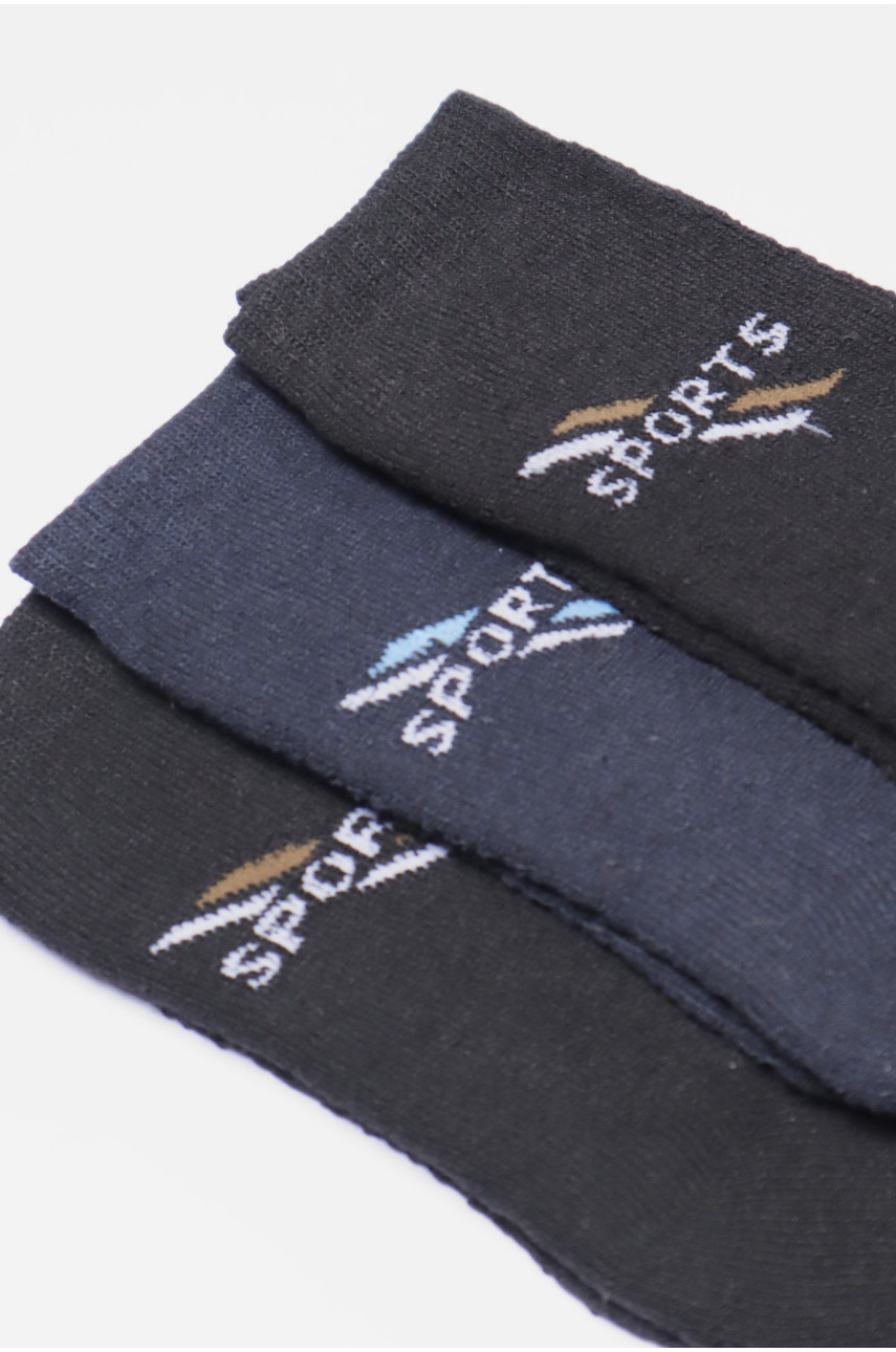 Набір шкарпеток чоловічих махрових 3 штуки 772 190332