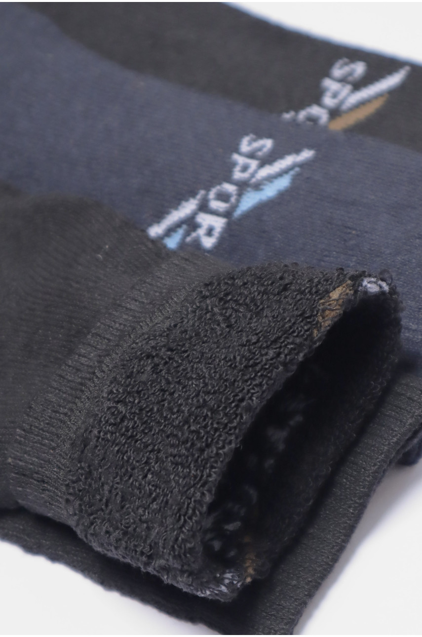 Набір шкарпеток чоловічих махрових 3 штуки 772 190332