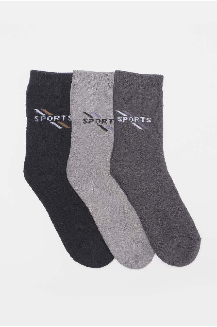Набір шкарпеток чоловічих махрових 3 штуки 772 190334