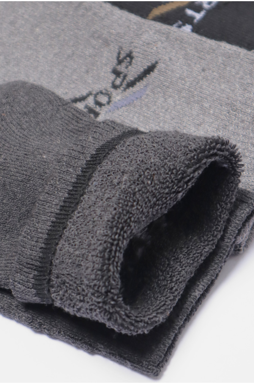 Набір шкарпеток чоловічих махрових 3 штуки 772 190334