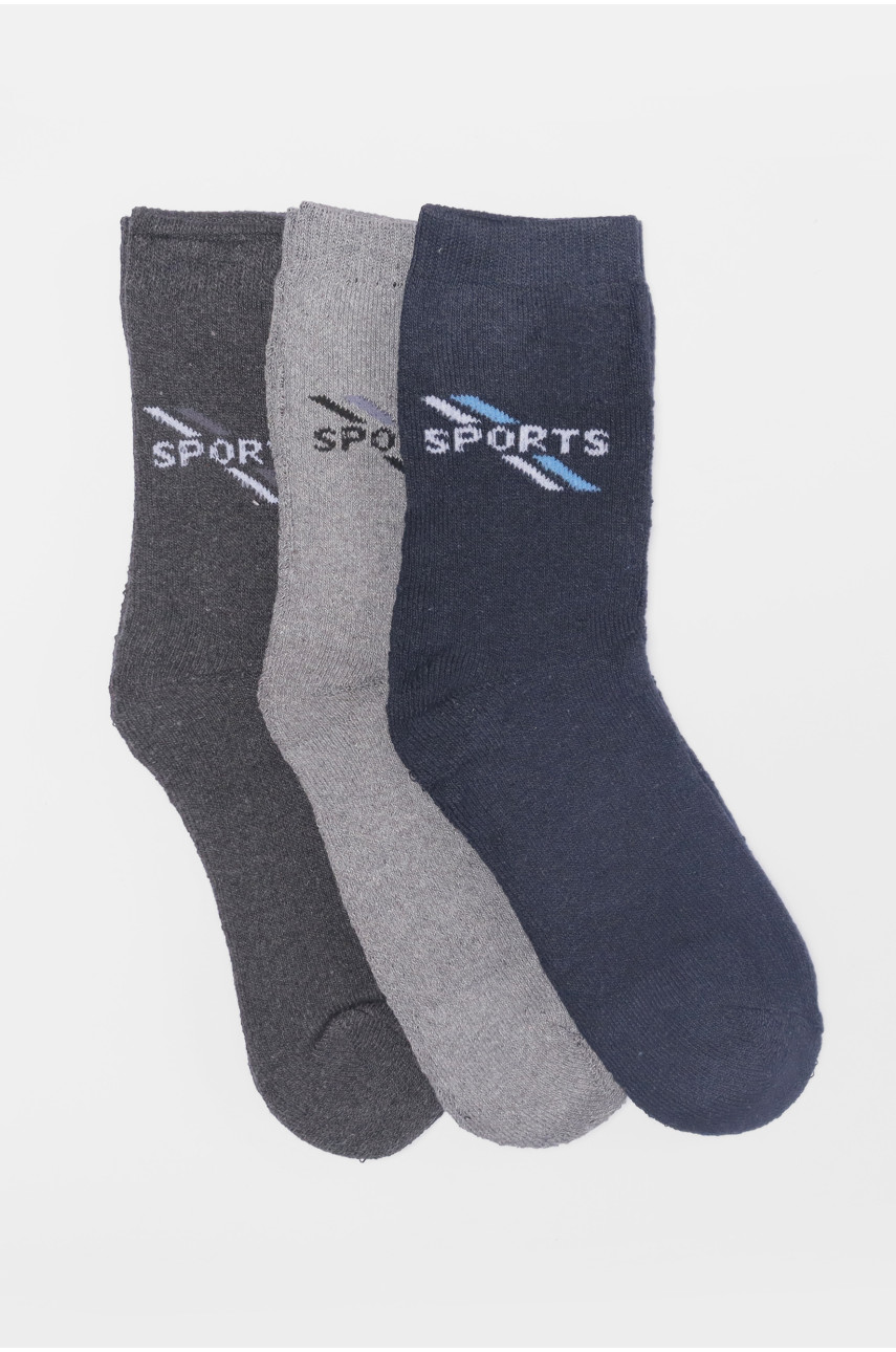 Набір шкарпеток чоловічих махрових 3 штуки 772 190336