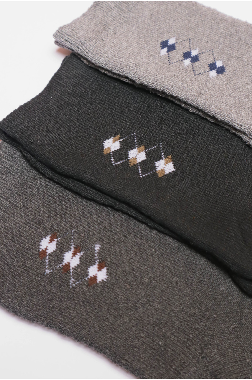 Набір шкарпеток чоловічих махрових 3 штуки 773 190344