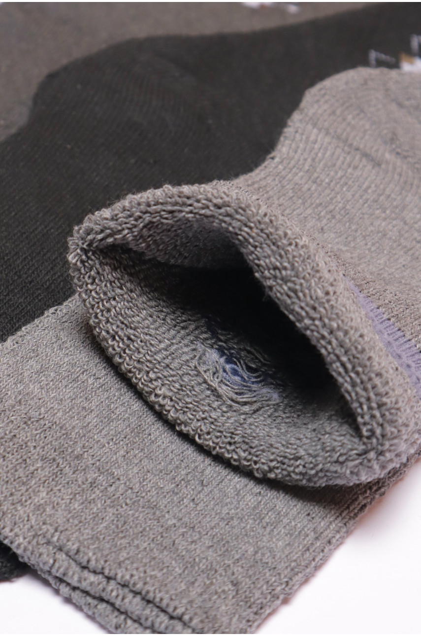 Набір шкарпеток чоловічих махрових 3 штуки 773 190344